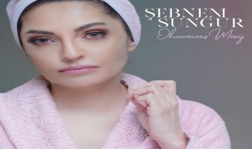 Şebnem Sungur - Okunmamış Mesaj